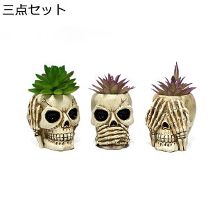 K[fjO   K[f nEB[  O̒u AEghA x_  I[ig  ̏ h ϋv |pi CeA }CNiH|i