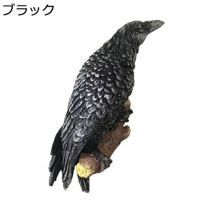 K[fjO JX G K[fIuWF Ǌ| u JCC A    IuWF h Jg[G |pi CeA }CNiH|i   O