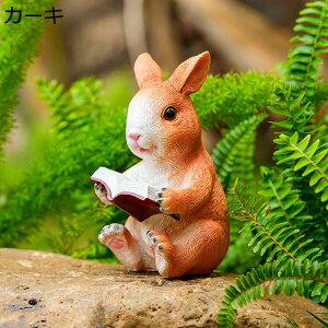 K[fjO ETM e K[f u    I[ig    h ϋv Jg[G   | CeA H|i O fR[V