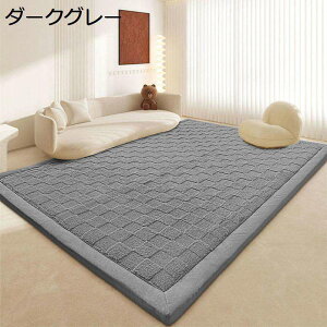 �Ɍ�30mm �J�[�y�b�g ���O ���� ���O�}�b�g �O�~ �t�����l�� �ё����� �i�q�� ���n �h�� �h�_�j ������ ����~�ߕt�� �������� ���g�[�Ή� �k���� ������� ���r���O �q������ �䂩�ی�