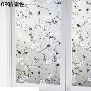 KXtB ډBV[g KXtB ՌfM ʔSH ptB V[ KXV[g ɓ\J[e Ih~ KXUh~ p  oX[ Xg