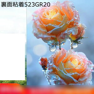 KXtB ʔS ߂V[g fM s zKXtB KXɓ\V[g œ\ Ռ UVJbg xbh[ C q iX