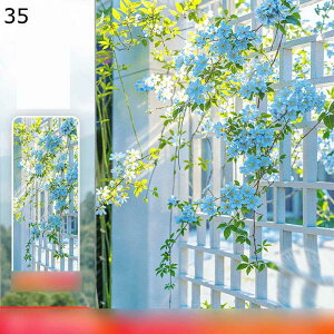 KXtB 肪炷ډBV[g ԕ XehOX fMtB p KXɓ\ œ\ Ռ uvJbgtB  rO[ Lb` Xg