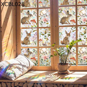 KXtB ډB F p V[ XehOX œ\邾 vCoV[ی uvJbgtB ՔM jДUh~ \蒼ł p  oX[ Xg