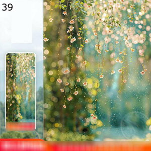 ptB KX ډBtB Ռ ՔM Ih~  rO[ Lb` Xg Uh~ XehOX ΍ œ\ ÓdCz