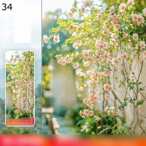 ptB KX ډBtB Ռ ՔM Ih~  rO[ Lb` Xg Uh~ XehOX ΍ œ\ ÓdCz