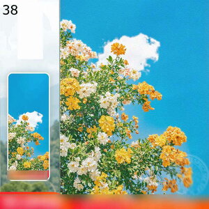 ptB KX ډBtB Ռ ՔM Ih~  rO[ Lb` Xg Uh~ XehOX ΍ œ\ ÓdCz