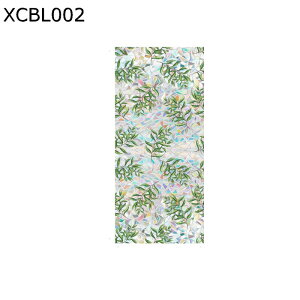 ptB ډB KXtB A F XehOX ՌfM \Ă͂ ڒ ȃKXʂɓKp Ih~V[g KXUh~ Q gC iX HI