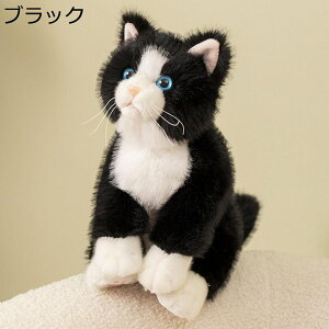 L ˂ʂ  NbV    G G A D ޏւ̃v[g ̎q j̎q j XgX ˂ނ˂ \t@[ CeA ʐ^