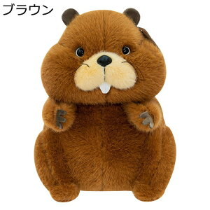 bĝʂ  NbV  A  GG n p   _炩 XgX ₳G C \t@[ LbY ̓