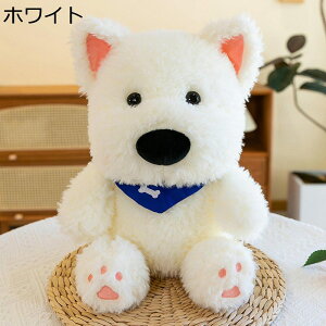 Ckʂ  NbV A l` D  _炩 n  ӂӂʂ XgX bNX av[g ޏ q X Cxg