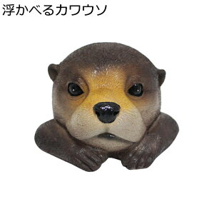 K[fI[ig JE\ ׂ K[fIuWF u JCC r I[ig  h ϋv |pi AEghA   fR[V A 