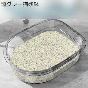 W{ ԑ΍ LgC  Lpi |ɂ gC ̐` Rh~ LX h gݗĕsv ̔юUh~ I[v NN| ^L ̂т̂уb