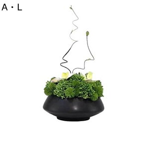 tFCNO[ RP } ԃAWg CeA ~ ԕr}  ins Y @ׂȗt ό _CjOe[u X p fp[g Bep Vz  p[eB[ 