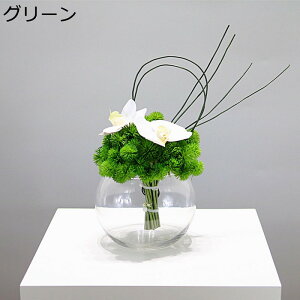  tFCNt[ Ӓ t[AWg lH CeA KXԕrt  RȎp _CjOe[u Q rO fXN ʐ^wi ]j  