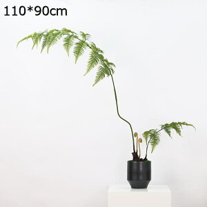 r tFCNO[ lH~i  a_ ԃAW CeA ԃZbg A ΂O  fBXvCp er ItBX  Bep Vz p[eB[ 