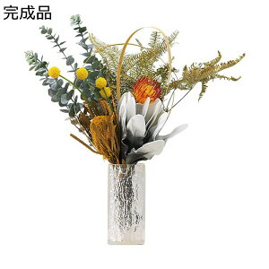 tFCNt[ ԃAWg CeA  lHϗtA Wԕr} k RȎp  LC Xܗp ze eB[[ Op x_  Vzj JXj 