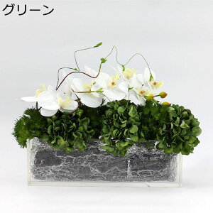 Ӓ ԃAW  ͂Ȃ ԃZbg O[ CeA bsv  a_ AȊO ϑސF Z^[s[X u ʐ^wi X p fp[g Vzj JXj