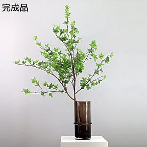  tFCNO[ CeA ֑} KXԕrt  I RȎp Z^[s[X u ԃAW  fXNgbv  rO Bep Vzj JXj 