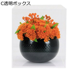 tFCNO[ RP  t[AWg ԕrt CeA  AN lHϗtA I { Xܗp ze eB[[  ʏ q Vz sv