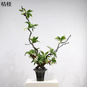 tFCNt[ ͎} NXmL ԃAWg  lHϗtA ԕrt a_ A ΂O CeA Xܗp ze eB[[ ό er ]j  ͂