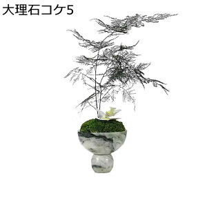   Ӓ t[AW ͂Ȃ ԕrt 嗝  CeA bsv  ins Y @ׂȗt قɋ  fBXvCp X JtF iX p[eB[