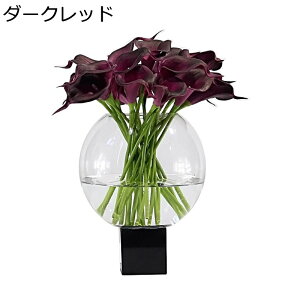 NC CeA ԑ ԃAW  ͂Ȃ _[Nbh KXԕrt bsv  a_ @ׂȗt  fBXvCp Bep  ʏ q j x[