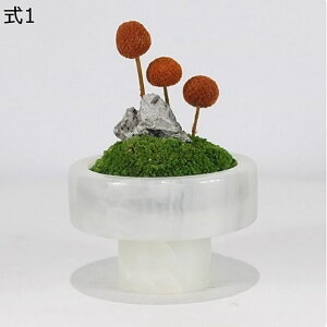  CeA ԃAW  ͂Ȃ Wԕr  sv  ٌ^ AȊO ό e[u fBXvC Bep Op x_  ]j  z