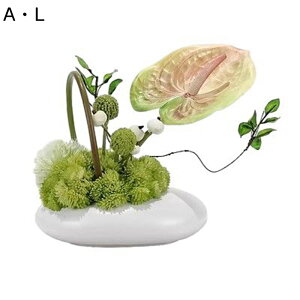 tFCNt[ ~ ԃAW  CeA  lHϗtA ԕr} AXE @ׂȗt Xܗp ze eB[[ قɋ er ItBX  