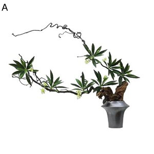 tFCNO[ } t[AW CeA ԕr}  ~i ̂ѕ { ϑސF e[u fBXvC er ItBX  Bep EFfBO 