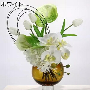  tFCNt[ `[bv Ӓ  t[AW CeA KXԕrt  ins { Z^[s[X u fXNgbv  rO p[eB[ 