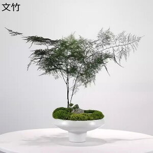 | RP tFCNO[ CeA ԕrt  a_ AȊO ϑސF _CjOe[u t[AW  Op x_  ʐ^wi EFfBO 񎟉 ͂