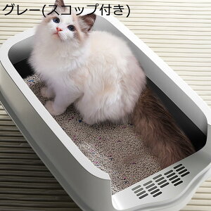 L  Lh~ LpgC{ Lpi |ɂ ɍcȂ  t[ht |₷ LX h U炩ɂ I[v o֗ 傫 ̂т̂уbN