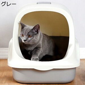 L LpgC{ ɍcȂ L̃gC  Wt t ϋv юUȂ  LȂ |ɂ  LXTCY o֗ tLVub^[{bNX