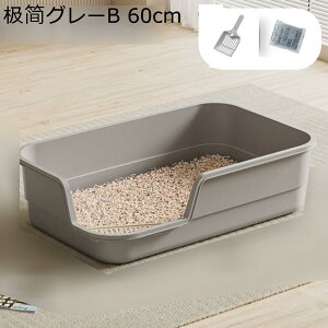 LpgC{ ̐` J o  ZŃANZX₷  NN| LX h ȒP Ƃ I[v pgC  ȃX