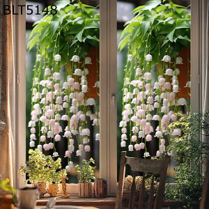 ptB XehOX p  ԕ MtB ΍ œ\ \蒼\ S KXډBtB ՌV[g O猩Ȃ  Vw Vzj