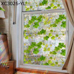 KXډBtB ߂V[g ΂̐A  pV[ F XehOX Őڒ vCoV[ی ΍ ՌfM \蒼  oX[ Xg
