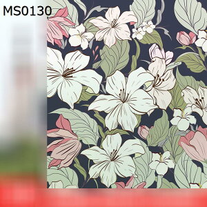 pKXtB KX ԕ OJbg fM ՔM œ\ \蒼ł S ډBV[g Ռ O猩Ȃ  Vw Vzj