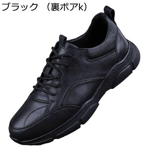 Xj[J[V[Y [t@[ Y 傫TCY U[ t@bV ~ L  ʋC ۉ n Sn悢 CMX YC tH~ l fC[ X|[c