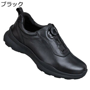 vC Y Xj[J[V[Y ]{^ v JWAV[Y 傫TCY ʋC L ~ n NbV Sn悢 tďH s ʋΗp fC[ EH[LO