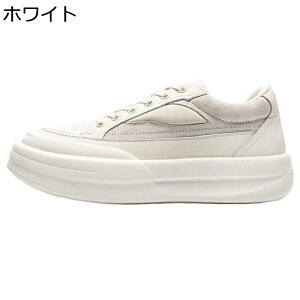 Y U[ [XAbvV[Y fbLV[Y ʋC JWAV[Y OH ~ NbV  JbRCC EhgD wC w a s tH