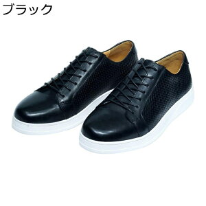 Y rWlXV[Y [XAbvV[Y amC JWA U[ vC ʋC G{X JbRCC 傫TCY ~ ₷ lGKp jp ގ  ʋ d 