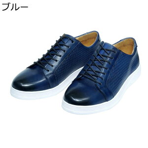 Y rWlXV[Y [XAbvV[Y amC JWA U[ vC ʋC G{X JbRCC 傫TCY ~ ₷ lGKp jp ގ  ʋ d 