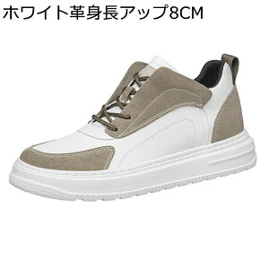 V[NbgV[Y JWAV[Y Y 4/6/8cm Xj[J[ U[ 傫TCY  XPV[ jp y L h tbg fbLV[Y ʋ ʊw ^C ₷