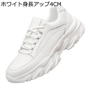 wȂC V[NbgC Xj[J[ Y JWA 4/6/8cm [XAbv U[ EȒP  傫TCY ϋv  y h [Jbg Sn ʋ ʊw AEghA