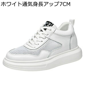 V[NbgC JWAV[Y Y Xj[J[ 7cmAbv U[ 傫TCY  [XAbv ʋC y L h tbg fbLV[Y jO X|[c p S