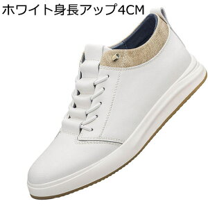XP[g{[hV[Y 4/6/8cm Xj[J[ v Y fB[X V[NbgV[Y tH tbg ~ RC ϋv y tbg gAbv ^C ItBX ʋΒʊw NVbN
