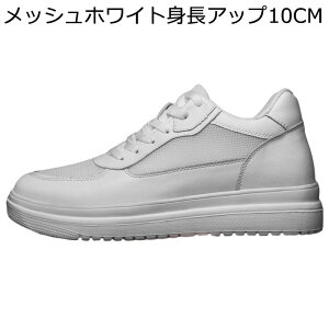 wȂC 6/8/10cm Xj[J[ Y JWA V[NbgC XP[g{[hV[Y [XAbv U[ RC 傫TCY ʋC \tg h y [Jbg X|[c p