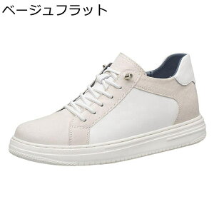 JWAV[Y Y wȂC Xj[J[ 4/6/8cm U[ 傫TCY ďH EH[LO [XAbv h ϋv y tbg j ^C X|[c ʋΒʊw 