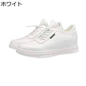 V[NbgC JWAV[Y Y 7cmAbv Xj[J[ vC 傫TCY  XPV[ ₷ ~ ʋC y tbg fbLV[Y ʋ ʊw ^C ₷